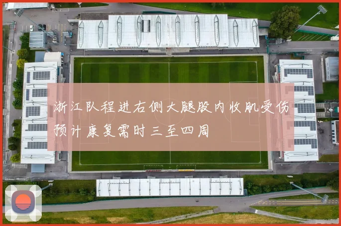 浙江队程进右侧大腿股内收肌受伤预计康复需时三至四周
